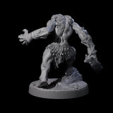 Hunch Back Troll C Miniature for Dungeons and Dragons, Pathfinder or other TTRPGs