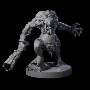 Hunch Back Troll C Miniature for Dungeons and Dragons, Pathfinder or other TTRPGs