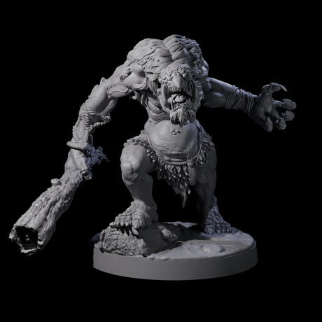 Hunch Back Troll C Miniature for Dungeons and Dragons, Pathfinder or other TTRPGs