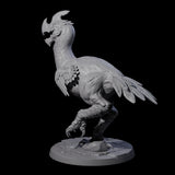 Hunting Axe Beak A Miniature for Dungeons and Dragons, Pathfinder or other TTRPGs