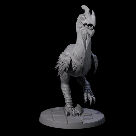 Hunting Axe Beak A Miniature for Dungeons and Dragons, Pathfinder or other TTRPGs