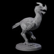 Hunting Axe Beak A Miniature for Dungeons and Dragons, Pathfinder or other TTRPGs