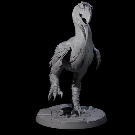 Hunting Axe Beak B Miniature for Dungeons and Dragons, Pathfinder or other TTRPGs