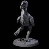 Hunting Axe Beak B Miniature for Dungeons and Dragons, Pathfinder or other TTRPGs