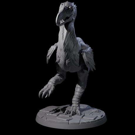 Hunting Axe Beak B Miniature for Dungeons and Dragons, Pathfinder or other TTRPGs