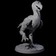 Hunting Axe Beak B Miniature for Dungeons and Dragons, Pathfinder or other TTRPGs