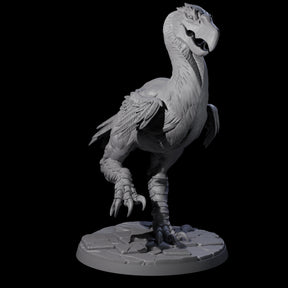 Hunting Axe Beak B Miniature for Dungeons and Dragons, Pathfinder or other TTRPGs