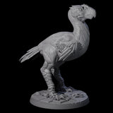 Hunting Axe Beak C Miniature for Dungeons and Dragons, Pathfinder or other TTRPGs