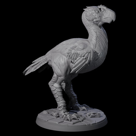 Hunting Axe Beak C Miniature for Dungeons and Dragons, Pathfinder or other TTRPGs