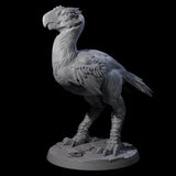 Hunting Axe Beak C Miniature for Dungeons and Dragons, Pathfinder or other TTRPGs