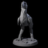 Hunting Axe Beak C Miniature for Dungeons and Dragons, Pathfinder or other TTRPGs