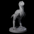 Hunting Axe Beak C Miniature for Dungeons and Dragons, Pathfinder or other TTRPGs