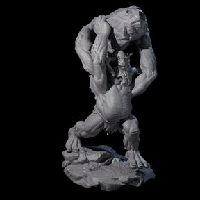 Hurling Ettin C Miniature for Dungeons and Dragons, Pathfinder or other TTRPGs