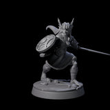 Indomitable Valkyrie Warrior Miniature for Dungeons and Dragons, Pathfinder or other TTRPGs