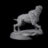 Infested Dog Miniature for Dungeons and Dragons, Pathfinder or other TTRPGs