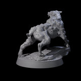 Infested Dog Miniature for Dungeons and Dragons, Pathfinder or other TTRPGs