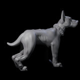 Inquisitive Dog A Miniature for Dungeons and Dragons, Pathfinder or other TTRPGs