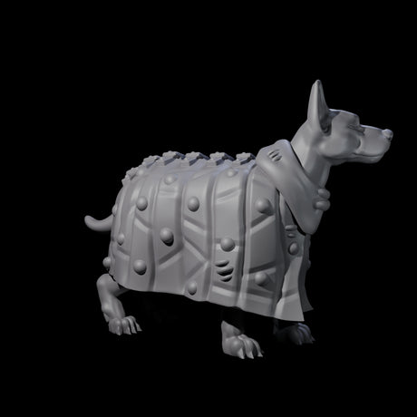 Inquisitive Dog B Miniature for Dungeons and Dragons, Pathfinder or other TTRPGs