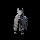 Inquisitive Dog B Miniature for Dungeons and Dragons, Pathfinder or other TTRPGs