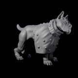Inquisitive Dog C Miniature for Dungeons and Dragons, Pathfinder or other TTRPGs