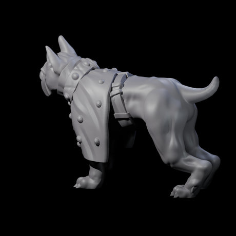 Inquisitive Dog C Miniature for Dungeons and Dragons, Pathfinder or other TTRPGs