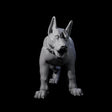 Inquisitive Dog D Miniature for Dungeons and Dragons, Pathfinder or other TTRPGs
