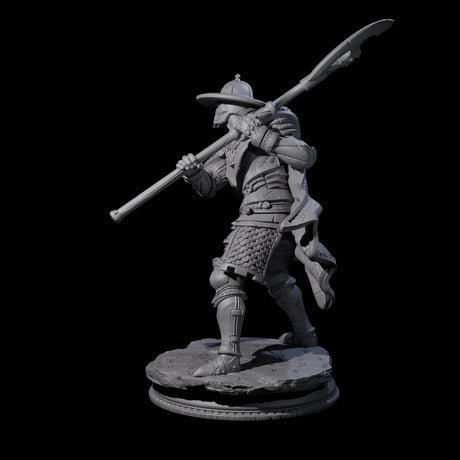 Inquisitor Knight B Miniature for Dungeons and Dragons, Pathfinder or other TTRPGs