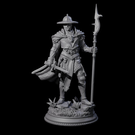Inquisitor Knight C Miniature for Dungeons and Dragons, Pathfinder or other TTRPGs
