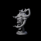 Insane Spectator F Miniature for Dungeons and Dragons, Pathfinder or other TTRPGs