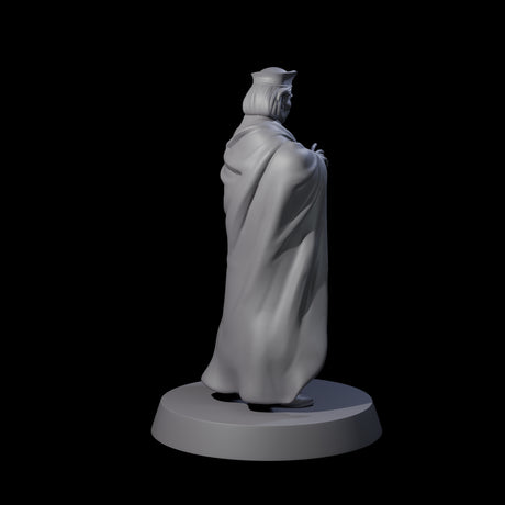 Interesting Senior Advisor Miniature for Dungeons and Dragons, Pathfinder or other TTRPGs