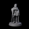 Interesting Senior Advisor Miniature for Dungeons and Dragons, Pathfinder or other TTRPGs