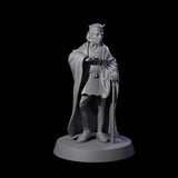 Interesting Senior Advisor Miniature for Dungeons and Dragons, Pathfinder or other TTRPGs