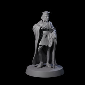 Interesting Senior Advisor Miniature for Dungeons and Dragons, Pathfinder or other TTRPGs