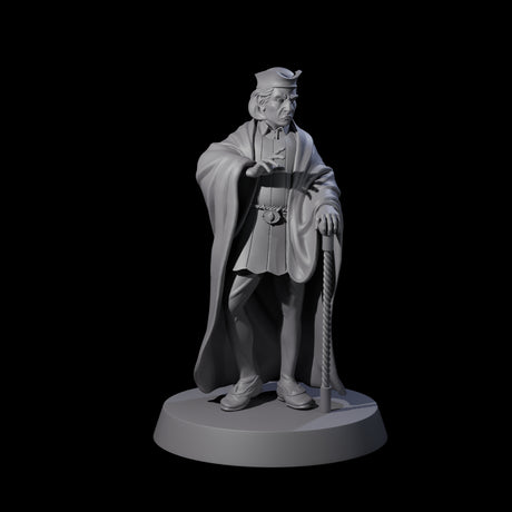 Interesting Senior Advisor Miniature for Dungeons and Dragons, Pathfinder or other TTRPGs