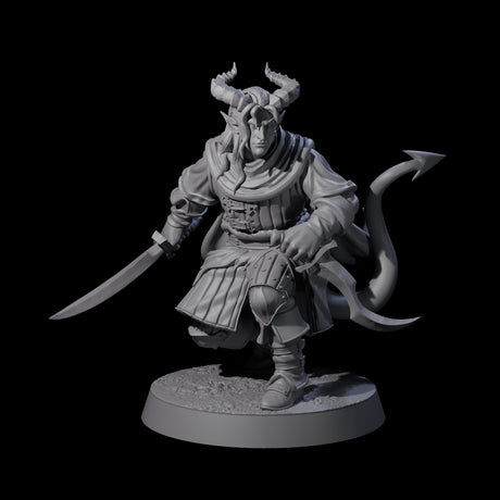 Jocular Tiefling Wayfarer A Miniature for Dungeons and Dragons, Pathfinder or other TTRPGs