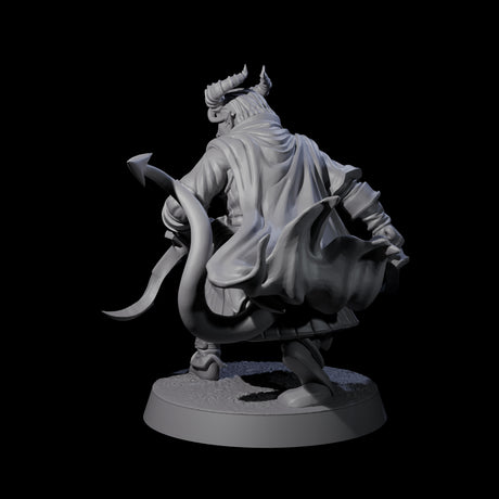 Jocular Tiefling Wayfarer A Miniature for Dungeons and Dragons, Pathfinder or other TTRPGs