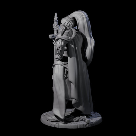 Lady Guinevere - Heavy Armoured Fighter Miniature for Dungeons and Dragons, Pathfinder or other TTRPGs