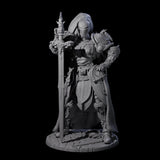 Lady Guinevere - Heavy Armoured Fighter Miniature for Dungeons and Dragons, Pathfinder or other TTRPGs