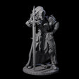 Lady Guinevere - Heavy Armoured Fighter Miniature for Dungeons and Dragons, Pathfinder or other TTRPGs
