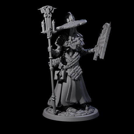 Learned Undead Scholar A Miniature for Dungeons and Dragons, Pathfinder or other TTRPGs