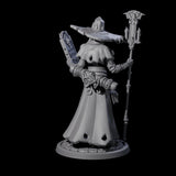 Learned Undead Scholar A Miniature for Dungeons and Dragons, Pathfinder or other TTRPGs