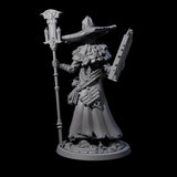 Learned Undead Scholar A Miniature for Dungeons and Dragons, Pathfinder or other TTRPGs