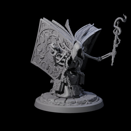 Librarian of the Dead B Miniature for Dungeons and Dragons, Pathfinder or other TTRPGs