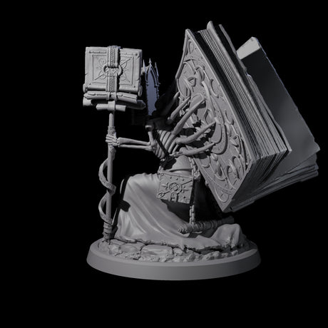 Librarian of the Dead C Miniature for Dungeons and Dragons, Pathfinder or other TTRPGs