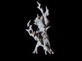 Lizardfolk Shaman Miniature for Dungeons and Dragons, Pathfinder or other TTRPGs