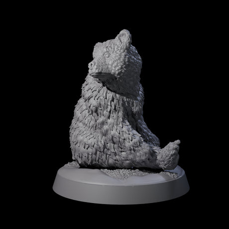Lonely Bear Cub Miniature for Dungeons and Dragons, Pathfinder or other TTRPGs
