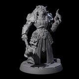 Magic Making Leonin Wizard Miniature for Dungeons and Dragons, Pathfinder or other TTRPGs