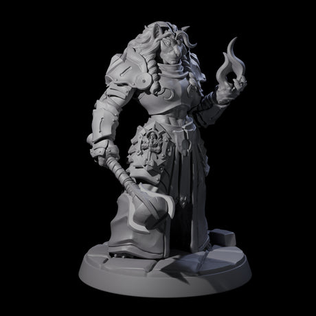 Magic Making Leonin Wizard Miniature for Dungeons and Dragons, Pathfinder or other TTRPGs