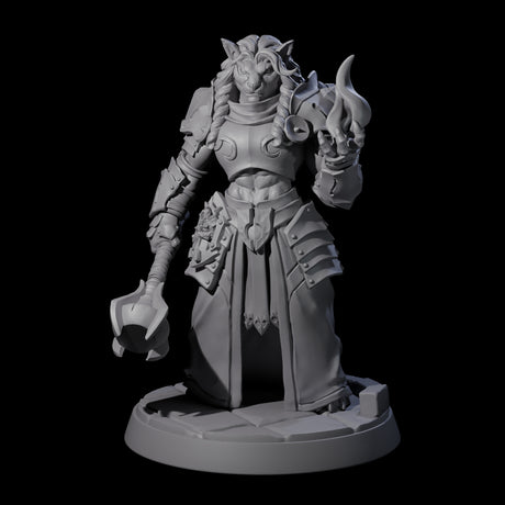 Magic Making Leonin Wizard Miniature for Dungeons and Dragons, Pathfinder or other TTRPGs