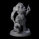 Magic Making Leonin Wizard Miniature for Dungeons and Dragons, Pathfinder or other TTRPGs